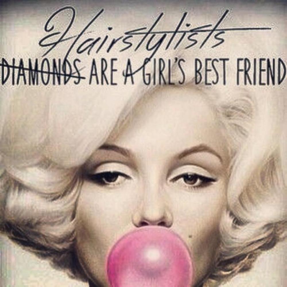 Meet your Posher, Shelley